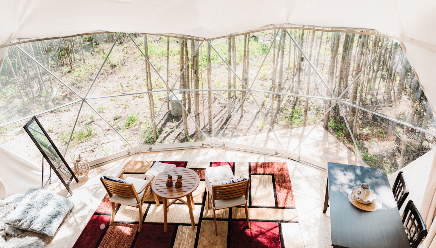 Stargazer Geodome Haven